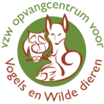 <b>VOC Merelbeke:</b></br>Huisvesting baby vogeltjes