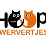 <b>Hoop voor Zwervertjes:</b></br>Kittenvoeding voor de allerkleintjes
