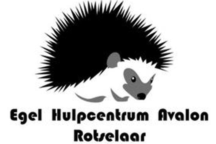Egel hulpcentrum avalon Rotselaar